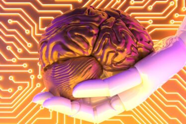 Agora existe um Darwin Awards para saudar os erros mais