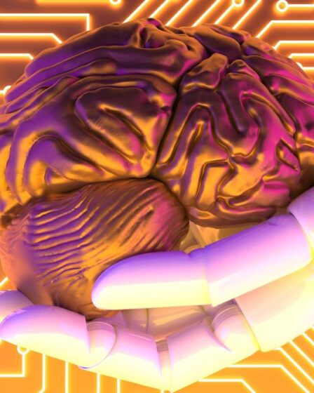 Agora existe um Darwin Awards para saudar os erros mais